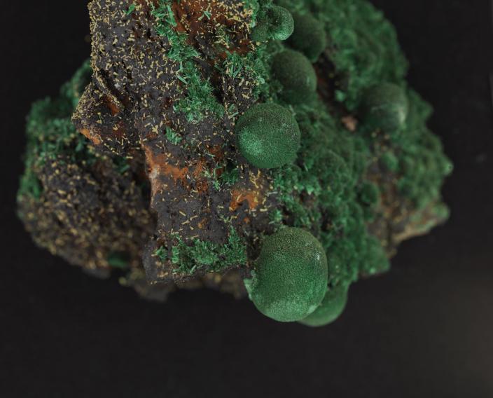 Image of the mineral Malachite with associated pyromorphite.